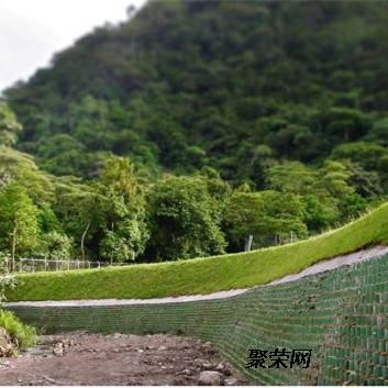 貴州修文 垂直綠化鋼塑土工格柵 植物攀爬網 綠色土工格柵